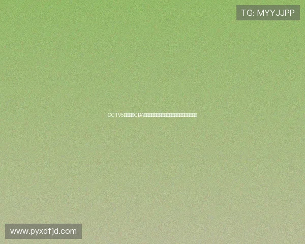 CCTV5在线直播CBA精彩赛事全程覆盖,篮球迷不容错过的观看盛宴